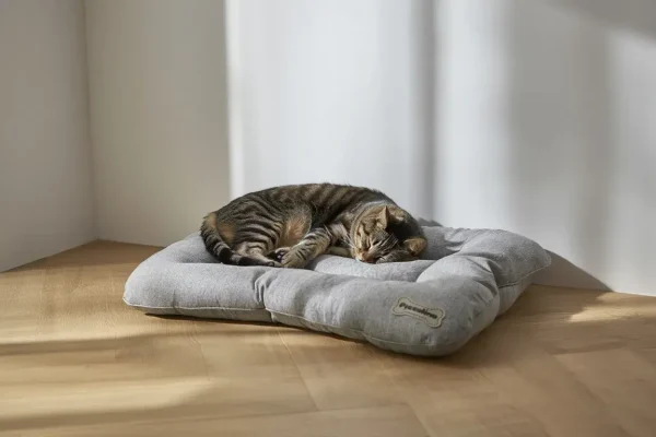 WhatsApp Image 2026-01-30 at 12.26.52 (2)